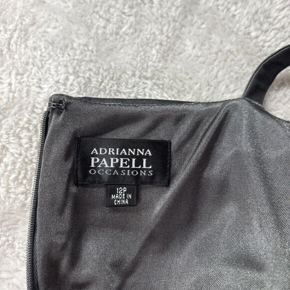 Adrianna Papell Cocktail Dress 12P Gray Pleated Bodice Black Lace Trim Sheath - Picture 6 of 8